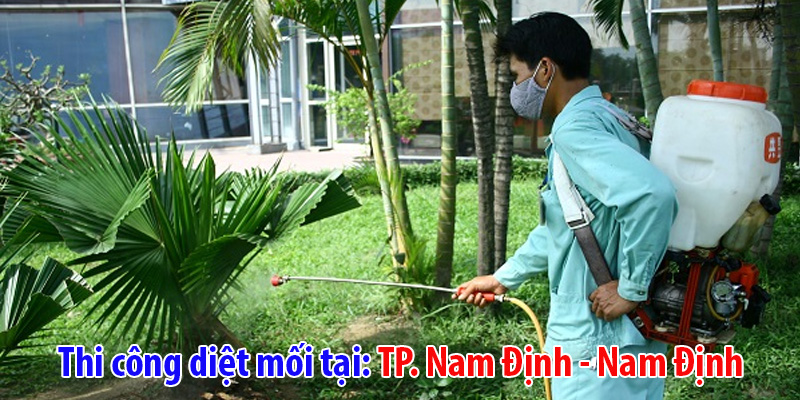 Diệt mối tại Nam Định