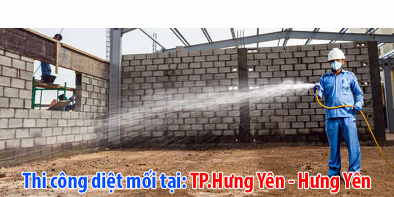 Diệt mối tại Hưng Yên