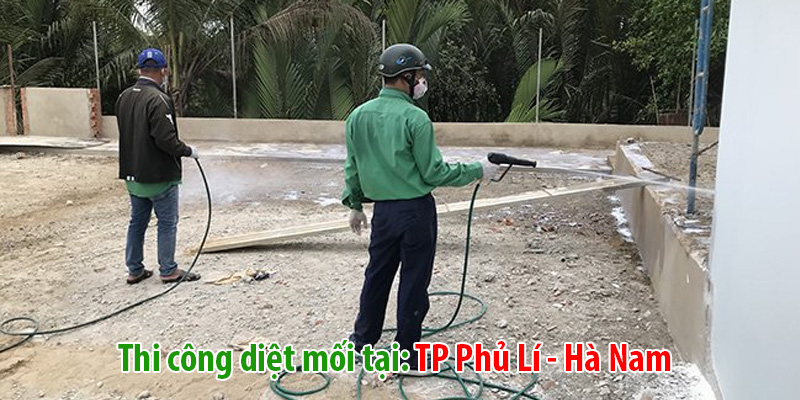 Diệt mối tại Hà Nam