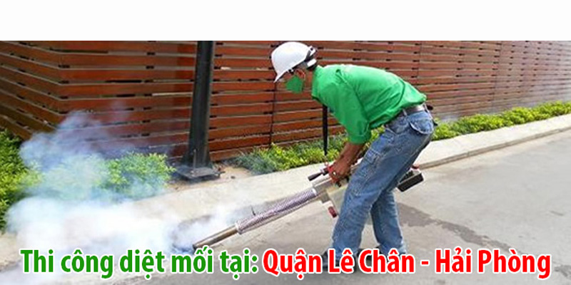 Diệt mối tại Hải Phòng